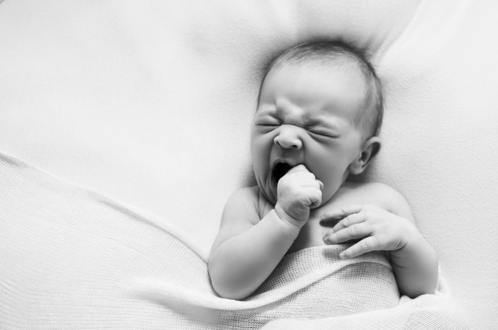 Newborn Photography by Photography By Catherine LaChance